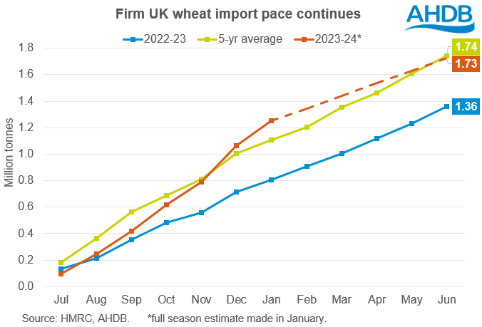 Graph showing cumulative wheat imports this season to date 19 03 2024